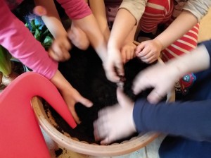 IMG_20210416_100551137